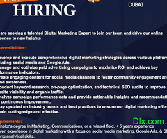 We are seeking a talented Digital Marketing Expert to join our team