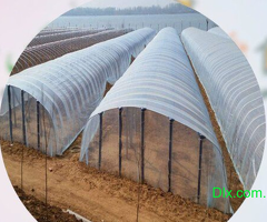 Plastic Sheets for Farming Agriculture - 1