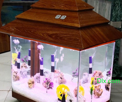 Wooden Beauty Fish tank