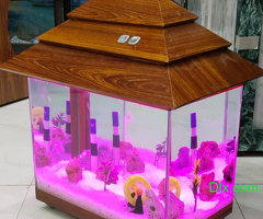 Wooden Beauty Fish tank - 2