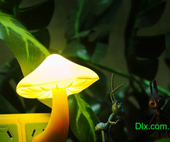 Decoration Mushroom light - 1