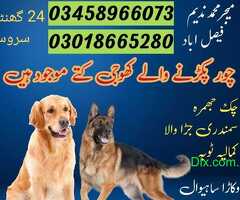 Army Dog Center Faisalabad