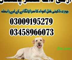Army Dog Center All Pakistan