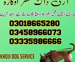 Army Dog Center All Pakistan - 2