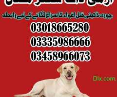 Army Dog Center All Pakistan - 3