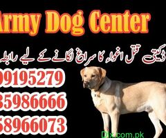 Army Dog Center All Pakistan - 4