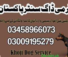 Army Dog Center All Pakistan - 5