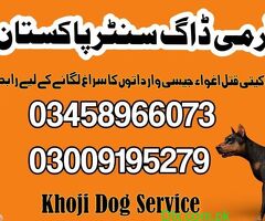 Army Dog Center All Pakistan - 6