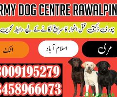 Army Dog Center Rawalpindi