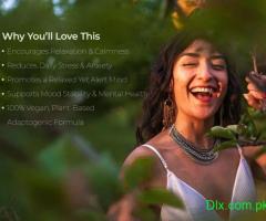 Daily Wellness Support With Tablet for Mental Health and Stress Relief